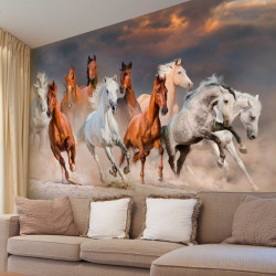 Foto mural cavalos