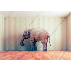 Fotomural elefante no quarto
